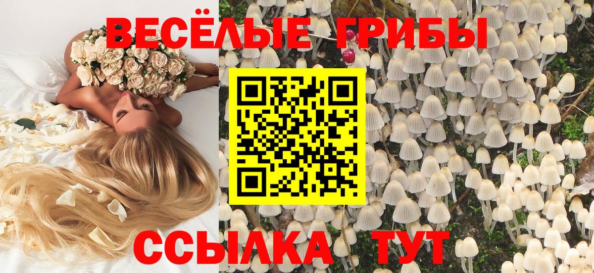 Галлюциногенные грибы мицелий  Галлюциногенные грибы GOLDEN TEACHER  продажа наркотиков  Вход с VPN  Сафоново 